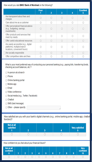 Example of Standard Version of a Survey Question used in Phase 5's research